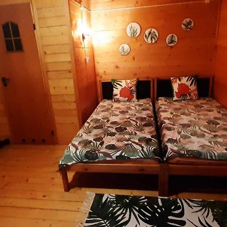 Chatki Sypialne Traperki Villa Polańczyk Eksteriør billede